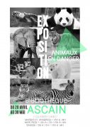 AFFICHE-EXPO-ANIMAUX